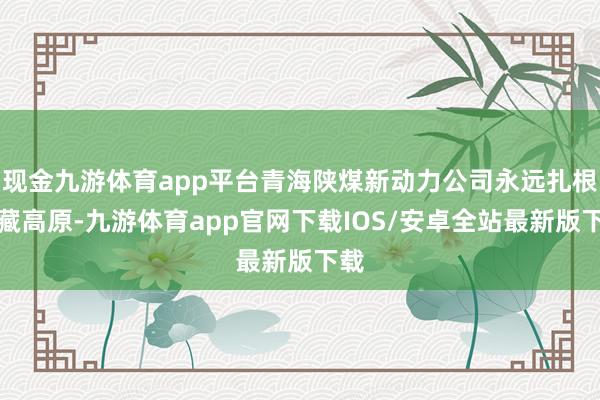 现金九游体育app平台青海陕煤新动力公司永远扎根青藏高原-九游体育app官网下载IOS/安卓全站最新版下载