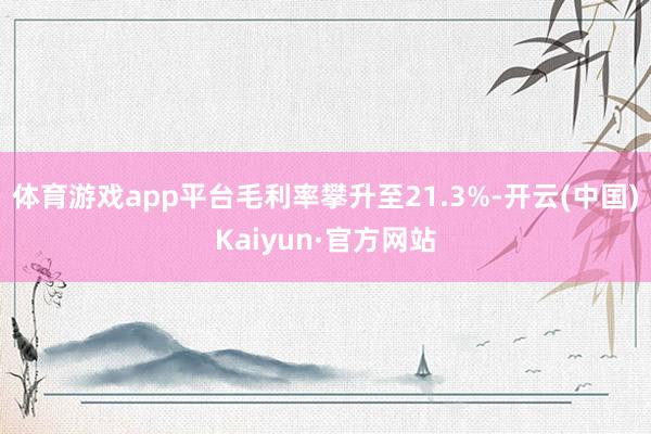 体育游戏app平台毛利率攀升至21.3%-开云(中国)Kai