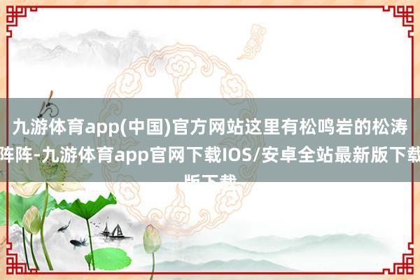 九游体育app(中国)官方网站这里有松鸣岩的松涛阵阵-九游体育app官网下载IOS/安卓全站最新版下载