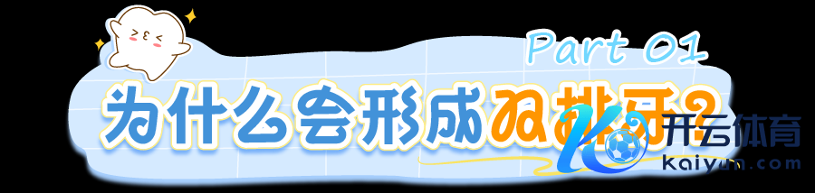 牙齿_画板 1.png