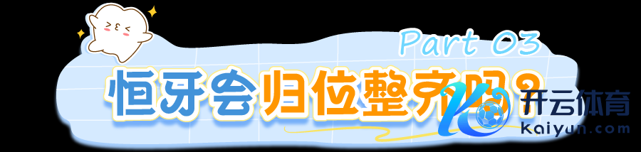 牙齿_画板 1 副本 2.png