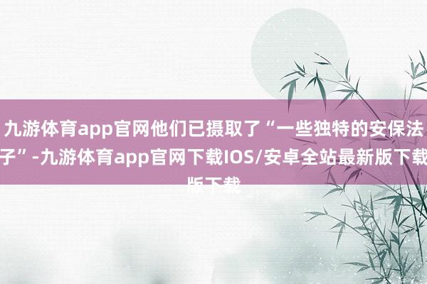 九游体育app官网他们已摄取了“一些独特的安保法子”-九游体育app官网下载IOS/安卓全站最新版下载