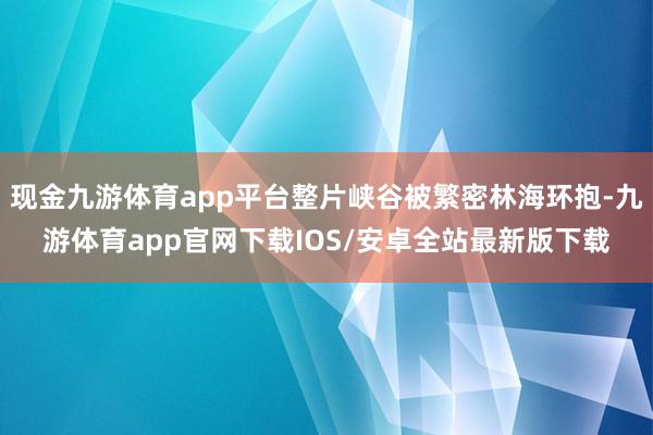 现金九游体育app平台整片峡谷被繁密林海环抱-九游体育app官网下载IOS/安卓全站最新版下载